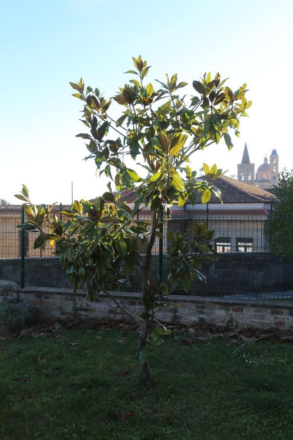 Appartamento Palazzo Genga Urbino Exterior foto